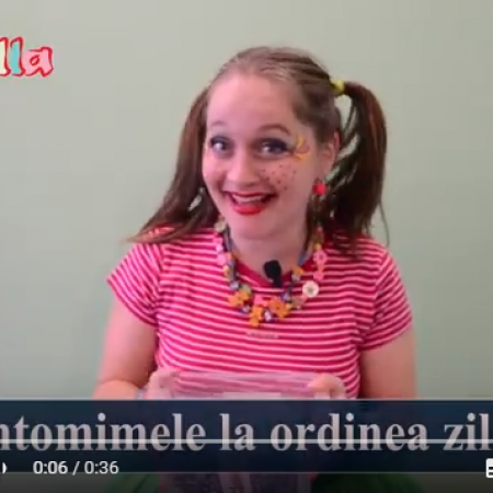 Ghici Pantomima Mea nr.1